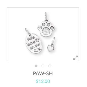 Pawsh set of 3 pet bracelet charms Premier Designs